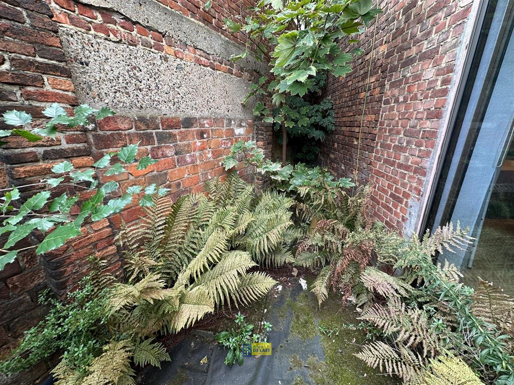 Appartementsgebouw in Hemiksem - foto 7