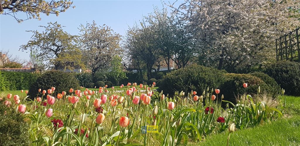 Woning in Ranst - foto 23