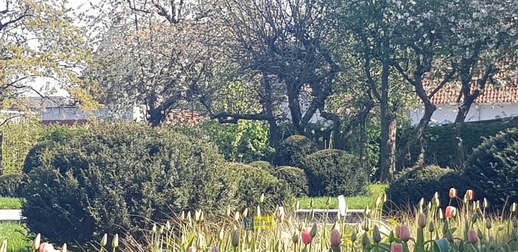 Woning in Ranst - foto 22