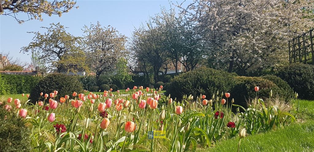 Woonuitbreidingsgebied in Ranst - foto 5