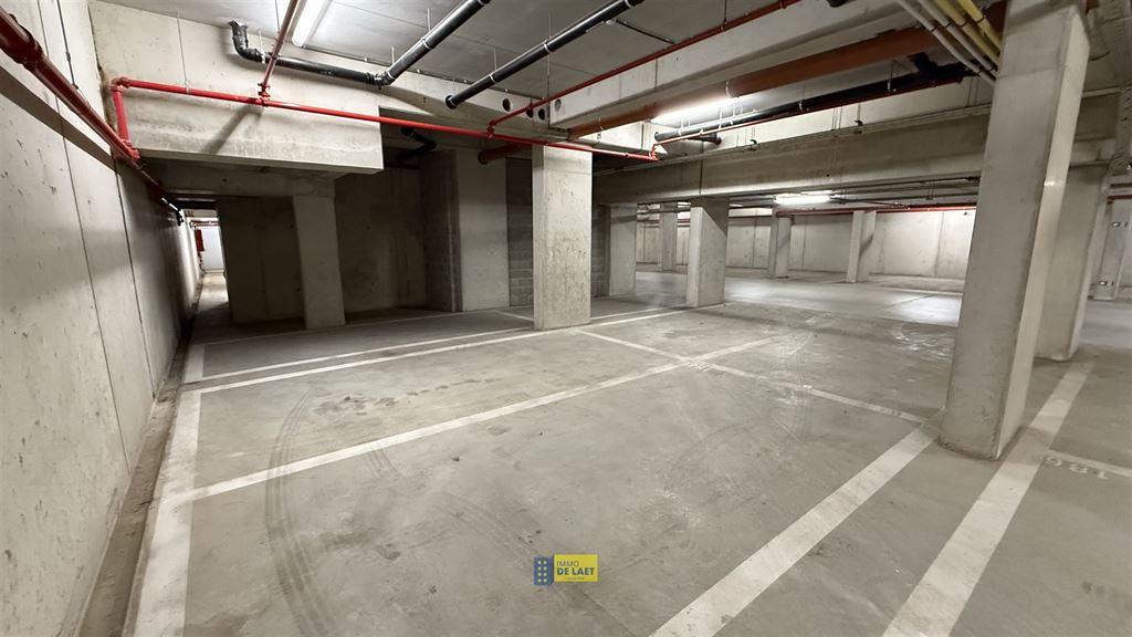 Staanplaats - binnen in Wilrijk - foto 5