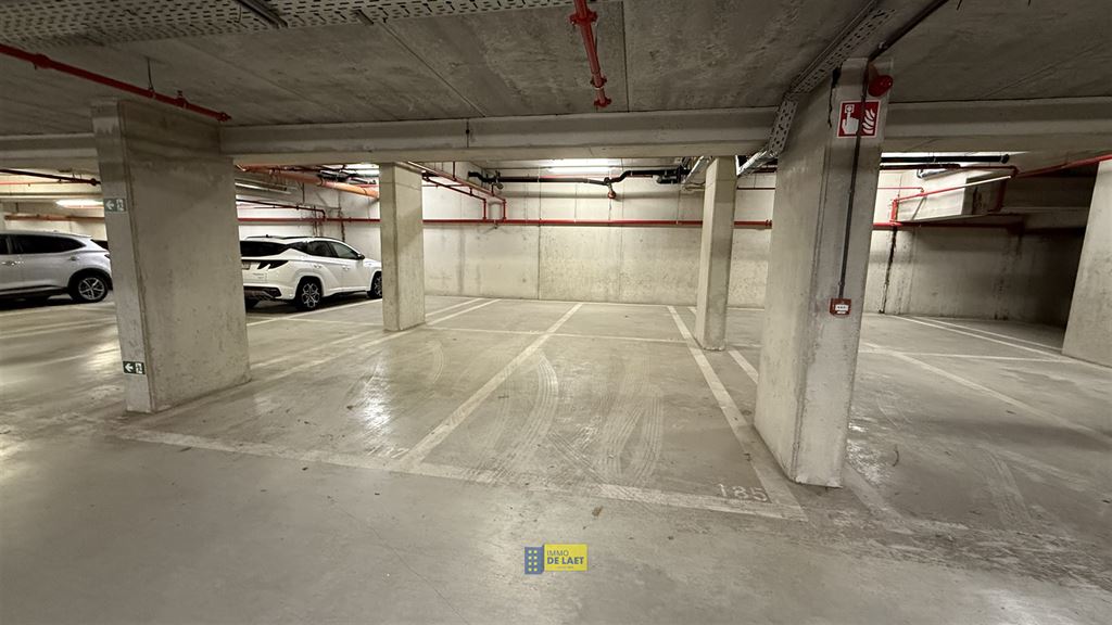 Staanplaats - binnen in Wilrijk - foto 2