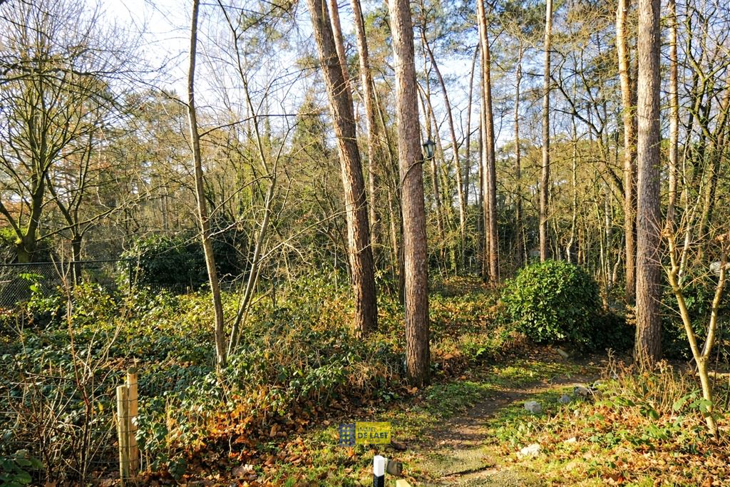 Chalet in Wuustwezel - foto 2