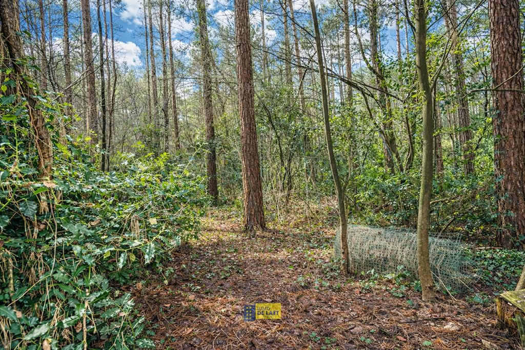 Chalet in Essen - foto 9