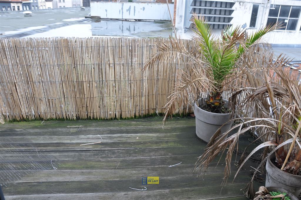 Eengezinswoning in Borgerhout - foto 23