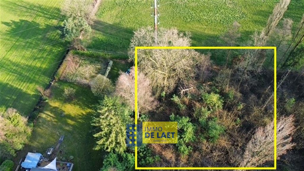 Landbouwgrond in Wuustwezel - foto 2
