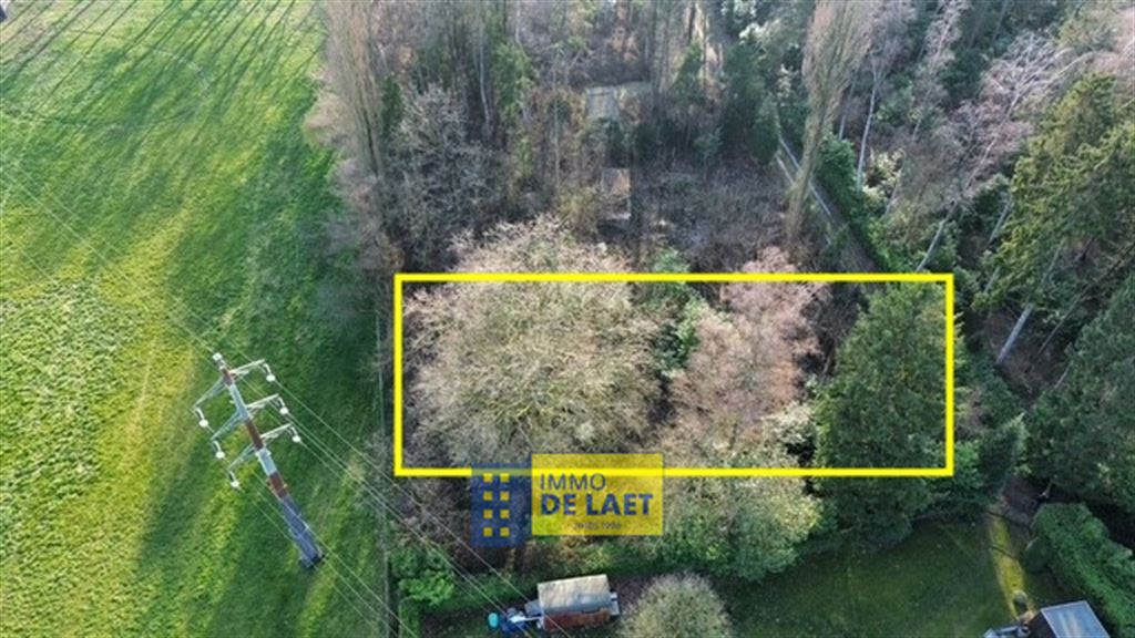 Landbouwgrond in Wuustwezel - foto 3