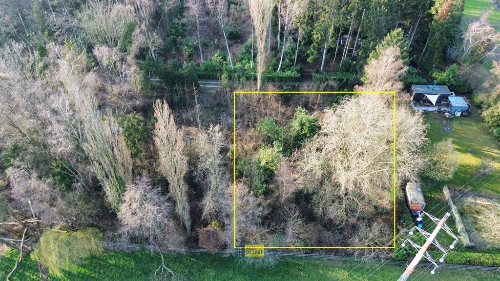 Landbouwgrond in Wuustwezel - foto 5