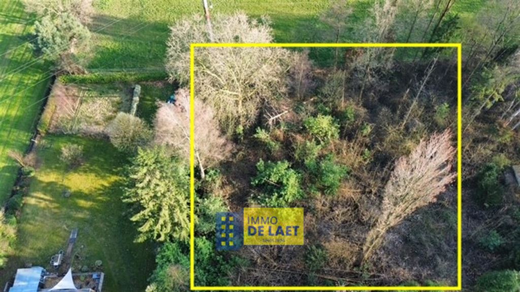 Landbouwgrond in Wuustwezel - foto 4