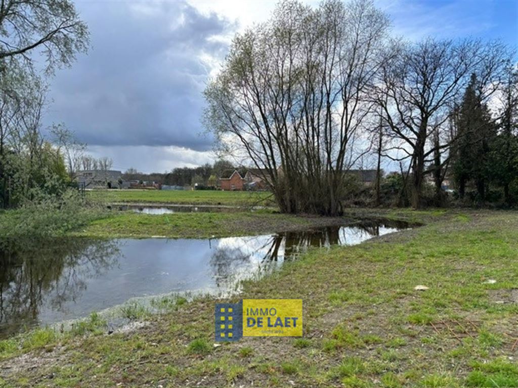 De Meerbeeksche Heide - foto 8