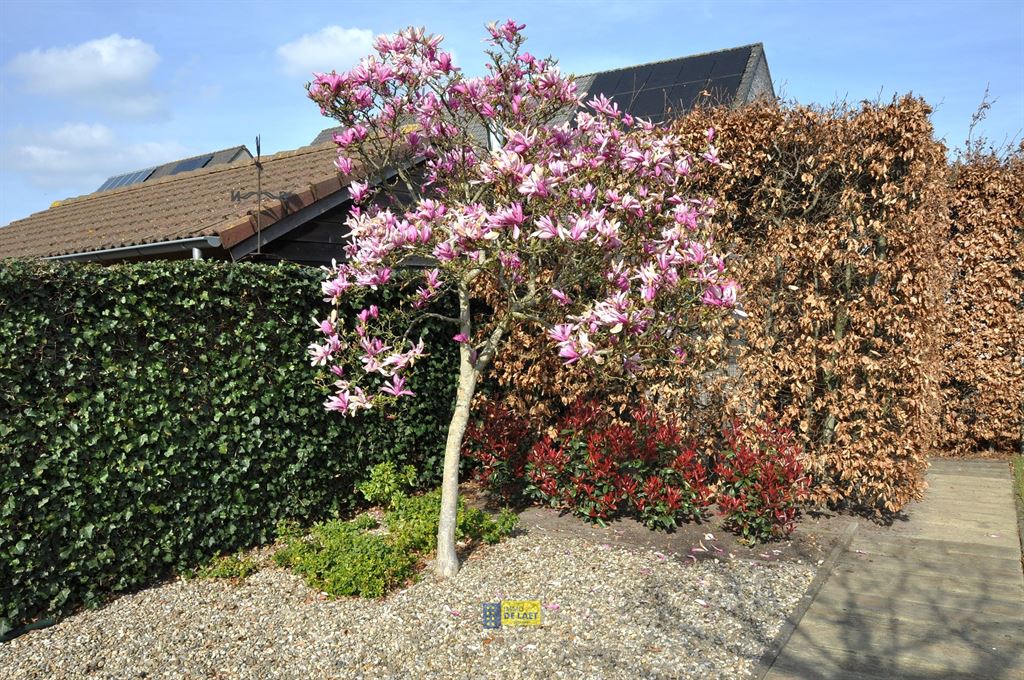 Woning in Stabroek - foto 14