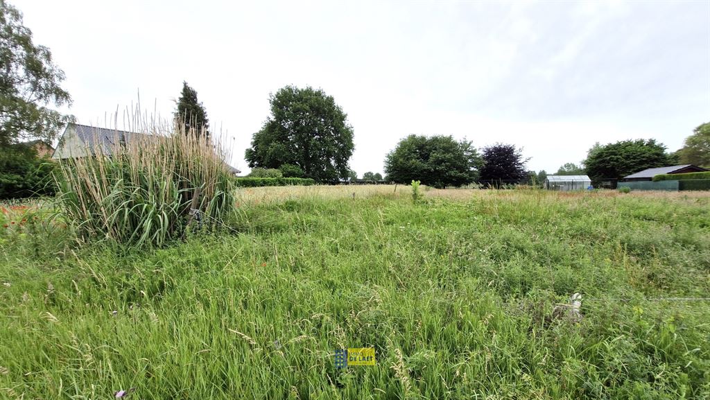 Bouwgrond in Stekene - foto 2