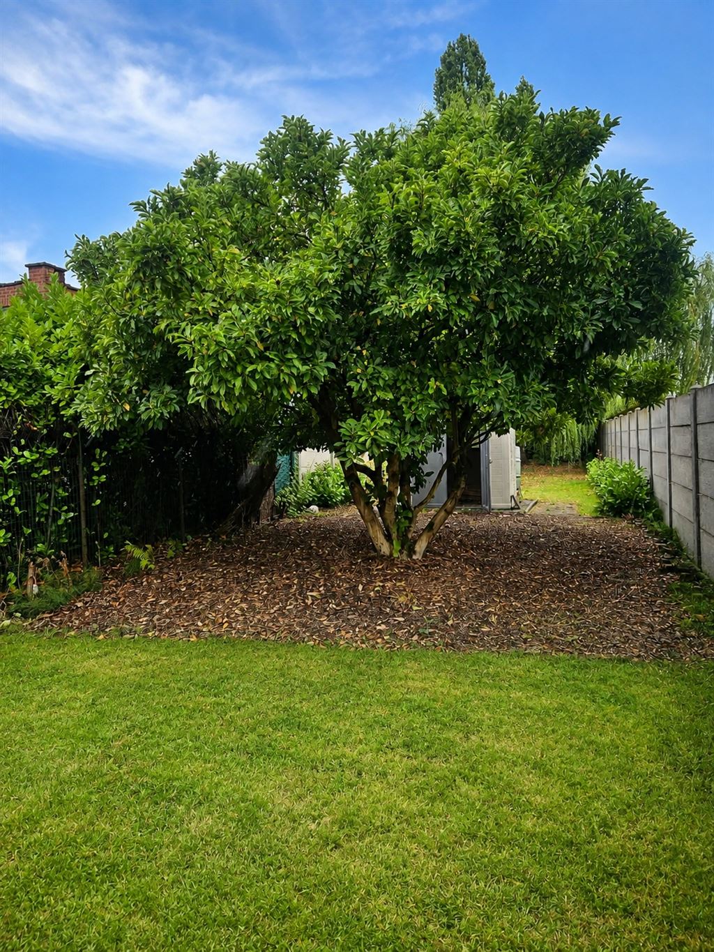 Woning in Niel - foto 10