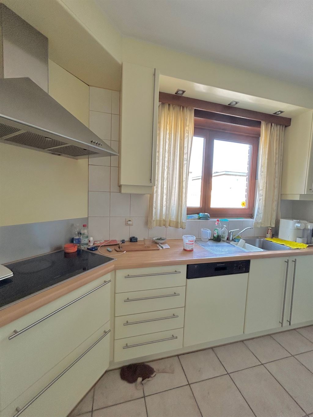 Appartement in Ekeren - foto 9