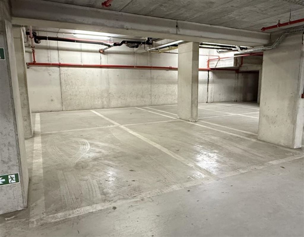 Staanplaats - binnen in Wilrijk - foto 4