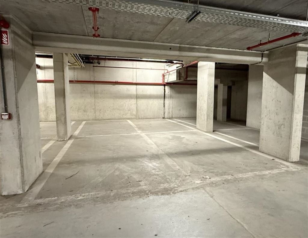 Staanplaats - binnen in Wilrijk - foto 3