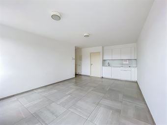 TRES BEL APPARTEMENT 1 CHAMBRE