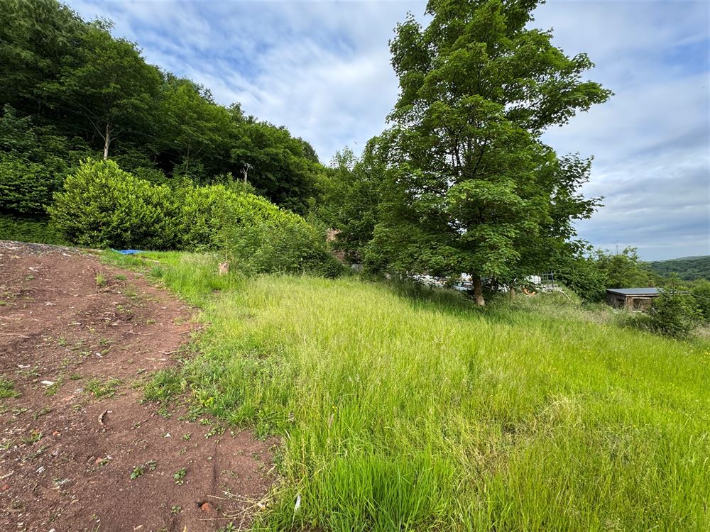 Terrain à RIVIÈRE (0 chambre)