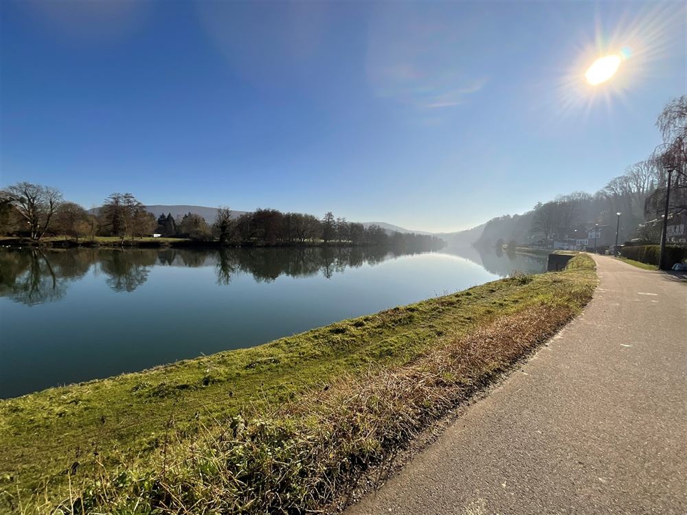Villa/maison/ferme à ANNEVOIE-ROUILLON (18 chambres)