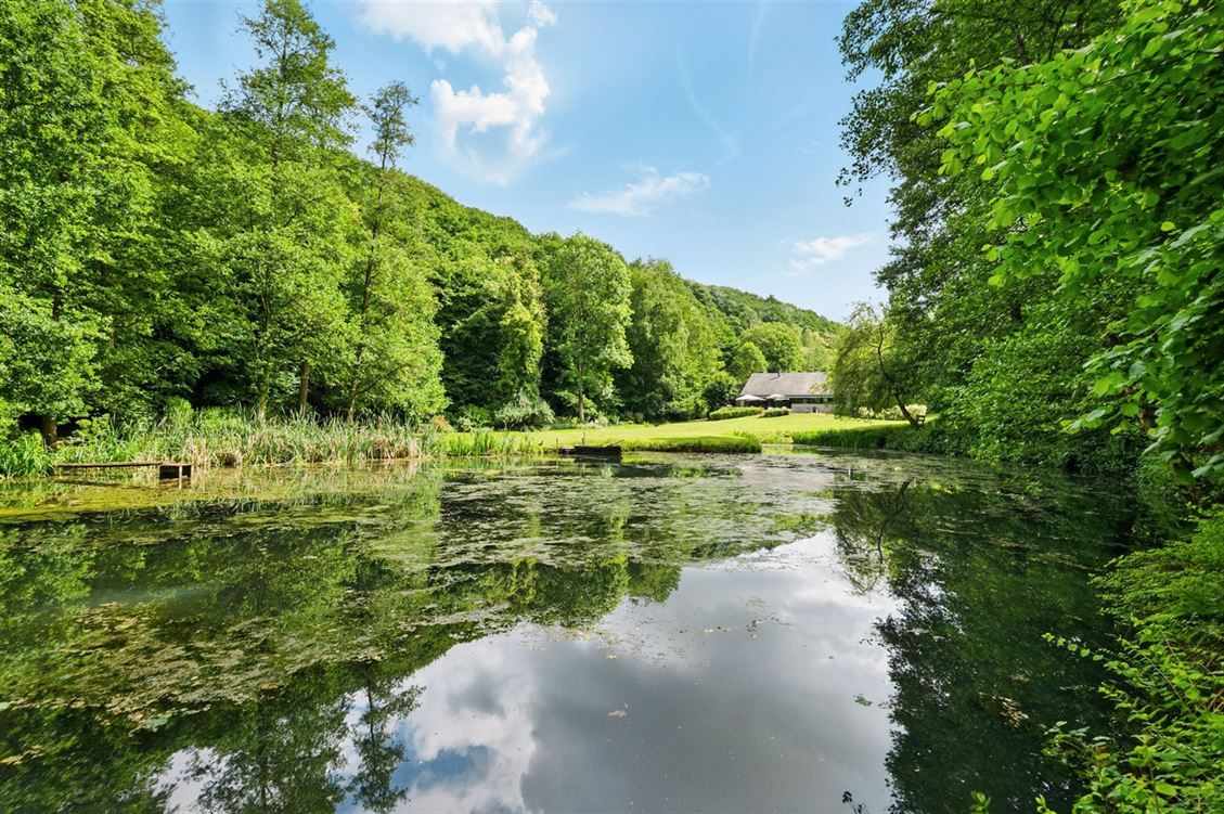 Villa/maison/ferme à DAVE (5 chambres)