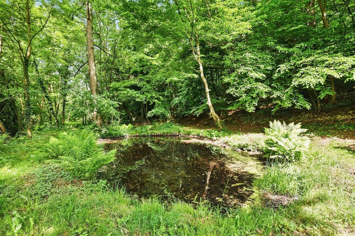 Villa/maison/ferme à DAVE (5 chambres)