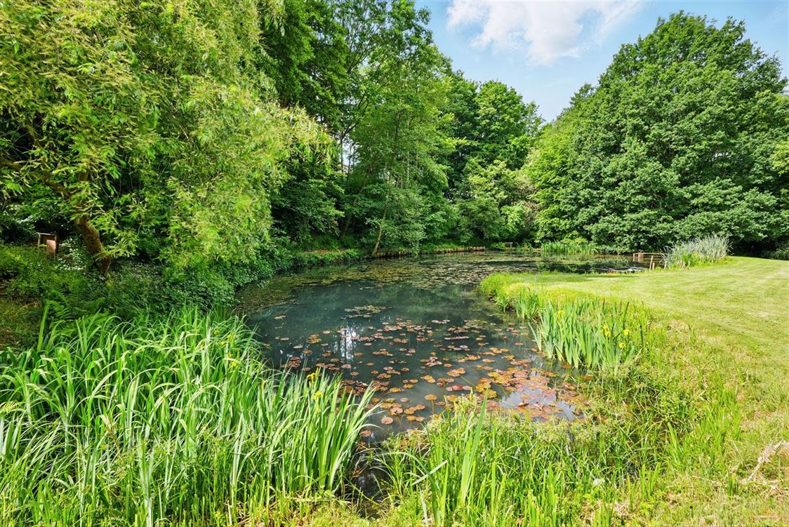 Villa/maison/ferme à DAVE (5 chambres)