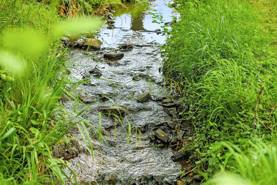 Villa/maison/ferme à DAVE (5 chambres)