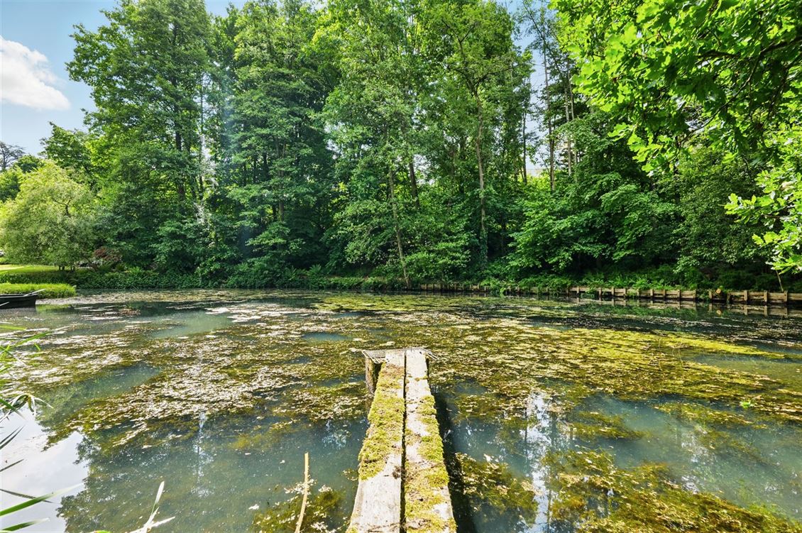 Villa/maison/ferme à DAVE (5 chambres)