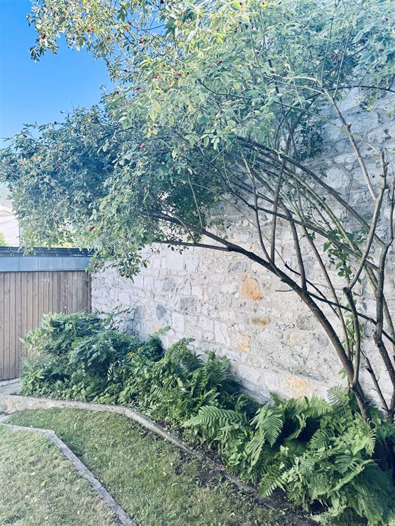 Immeuble de rapport à PROFONDEVILLE (4 chambres)