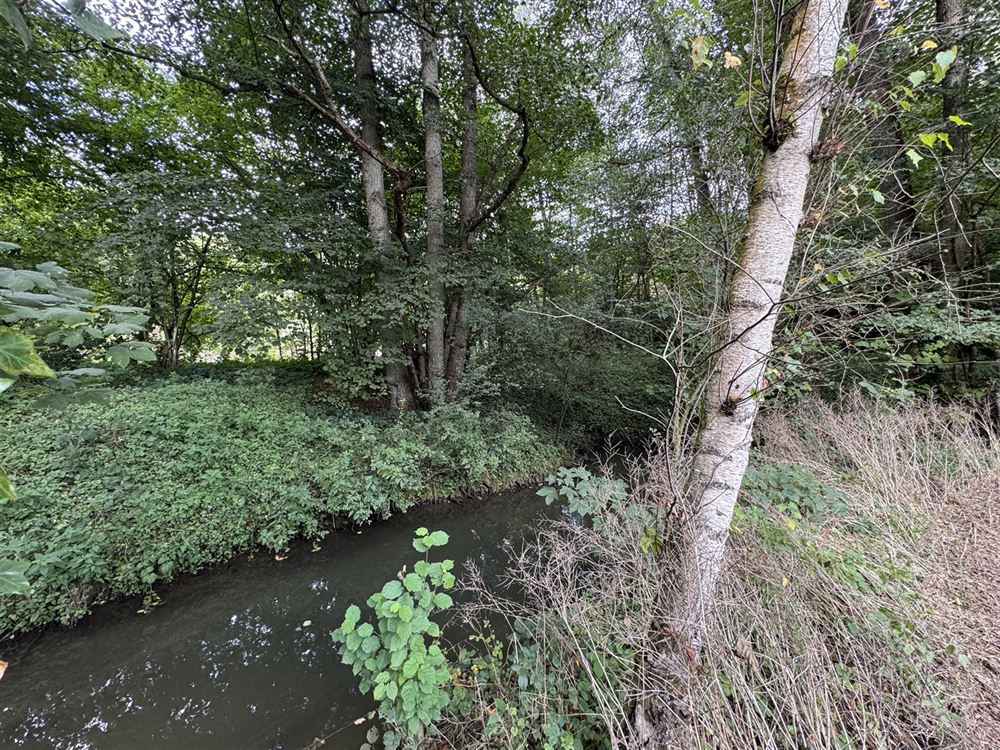 Terrain à ARBRE (0 chambre)