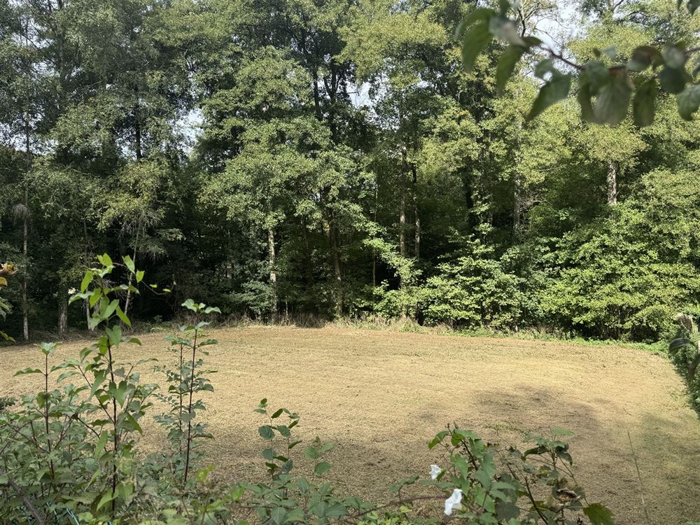 Terrain à ARBRE (0 chambre)