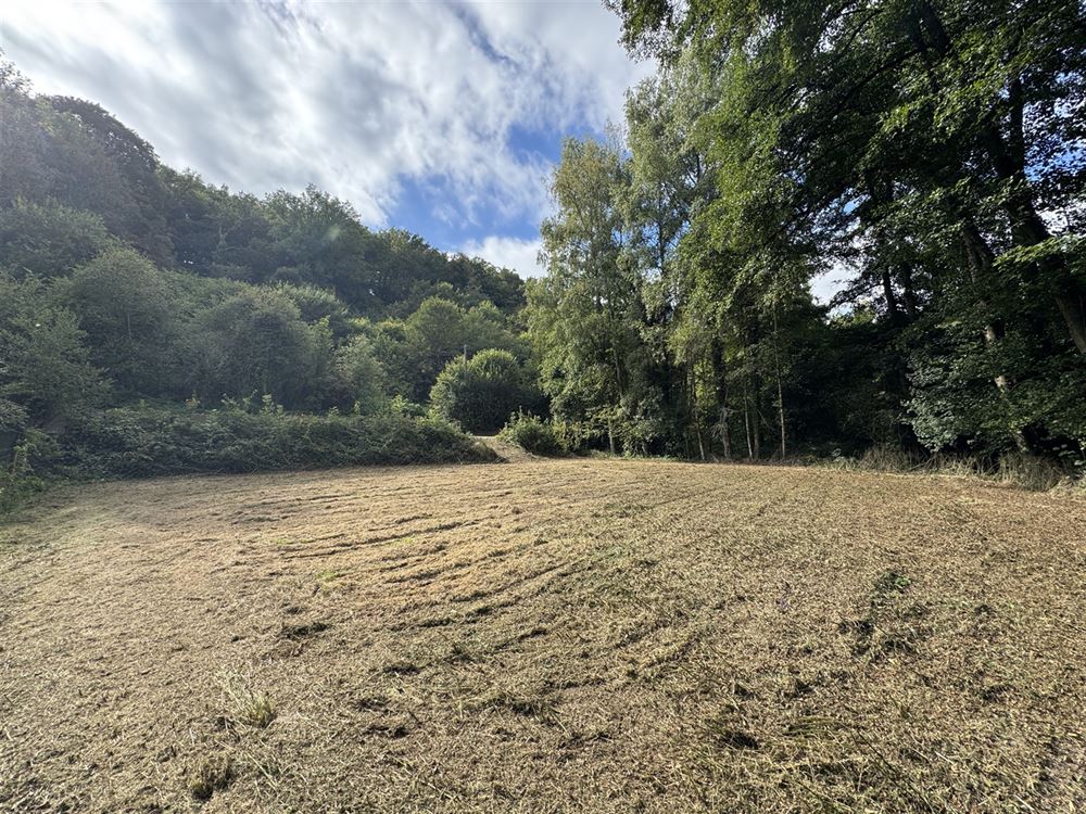 Terrain à ARBRE (0 chambre)