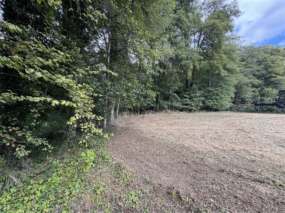 Terrain à ARBRE (0 chambre)