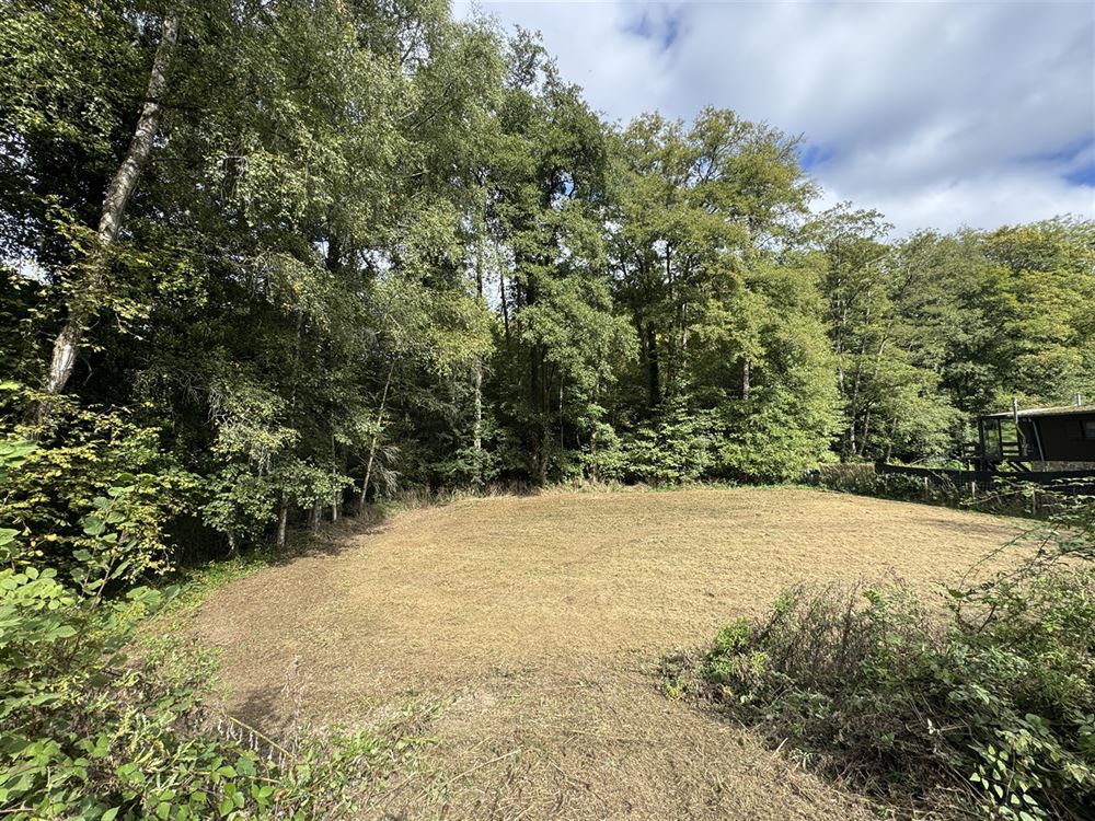 Terrain à ARBRE (0 chambre)