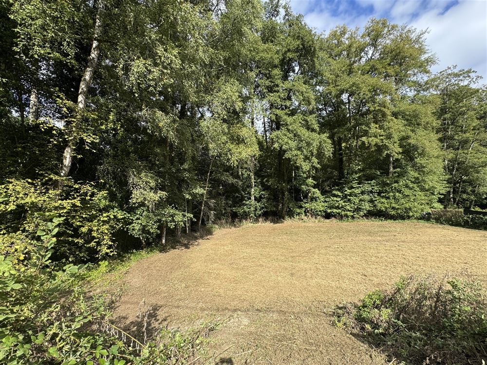 Terrain à ARBRE (0 chambre)