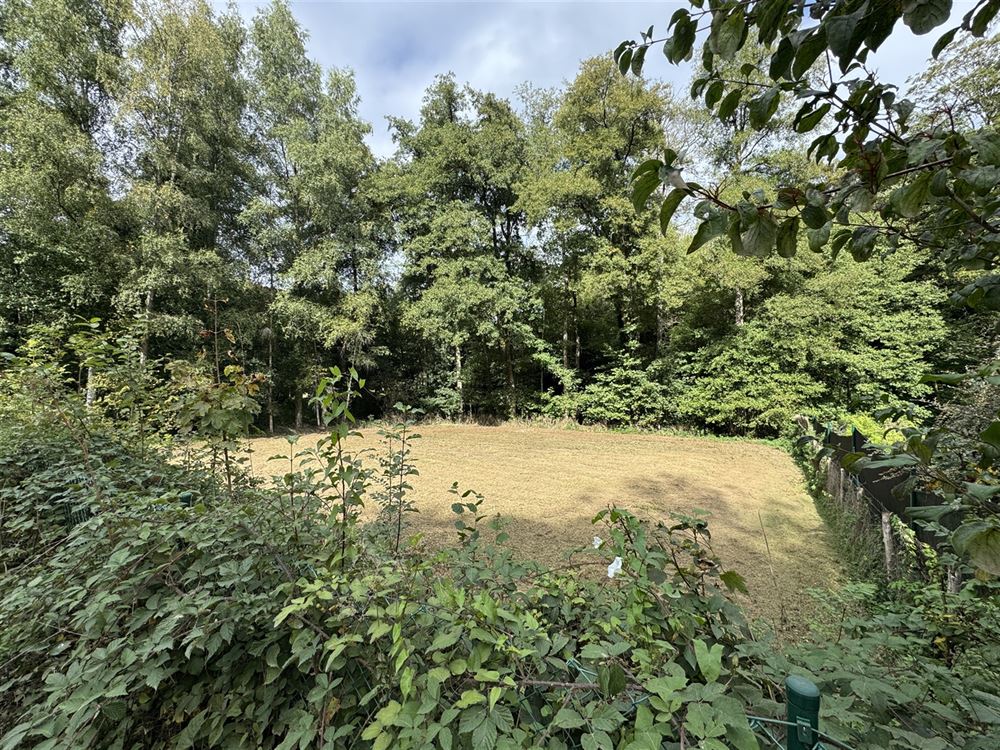 Terrain à ARBRE (0 chambre)