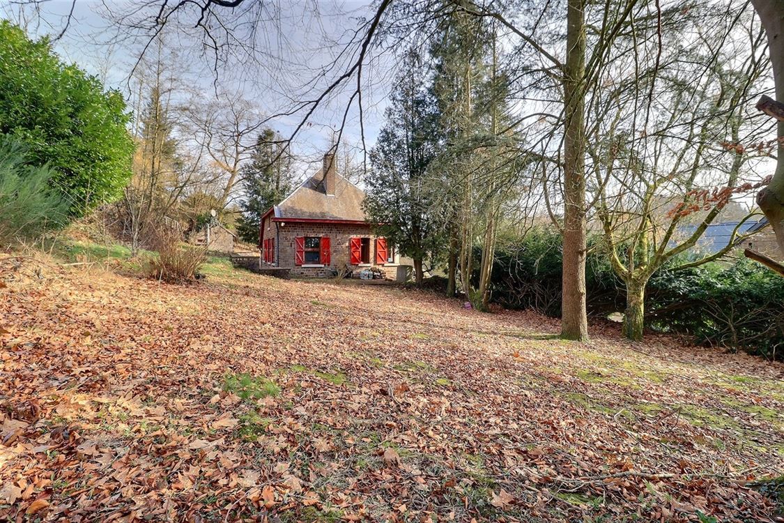 Terrain à Gesves (0 chambre)