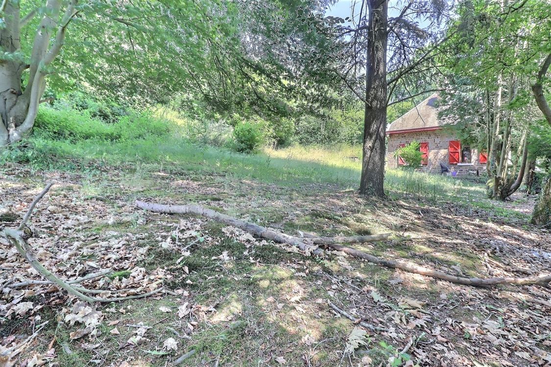 Terrain à Gesves (0 chambre)