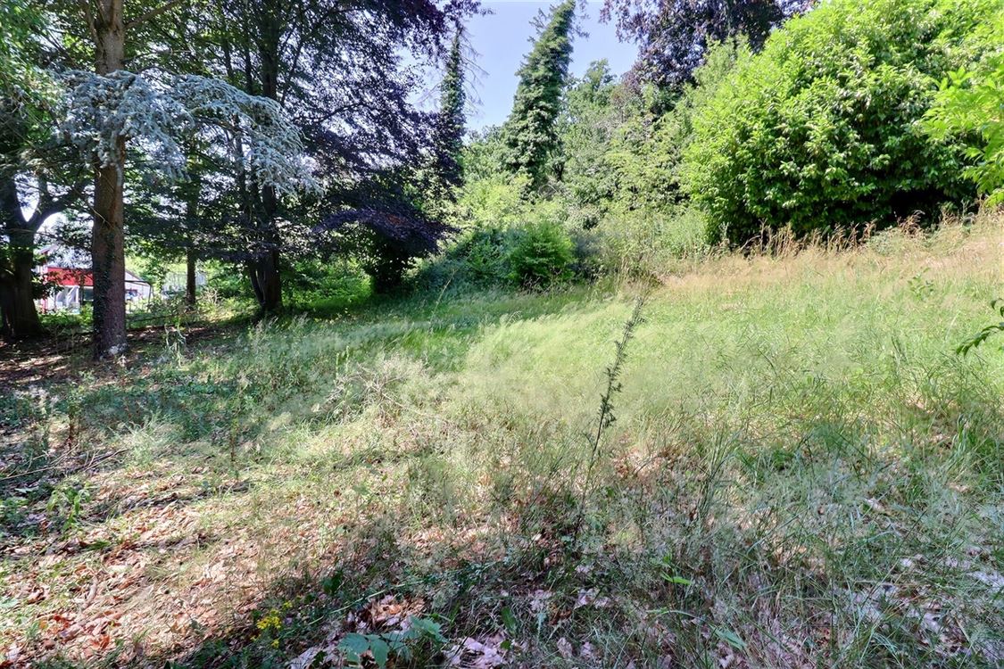 Terrain à Gesves (0 chambre)