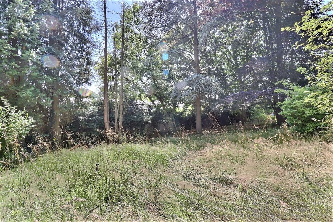 Terrain à Gesves (0 chambre)