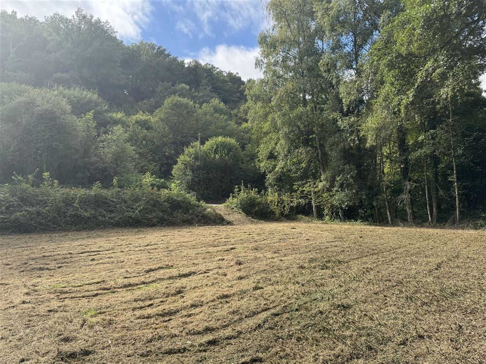 Terrain à ARBRE (0 chambre)