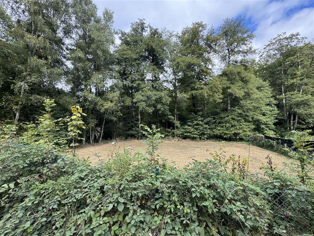 Terrain à ARBRE (0 chambre)