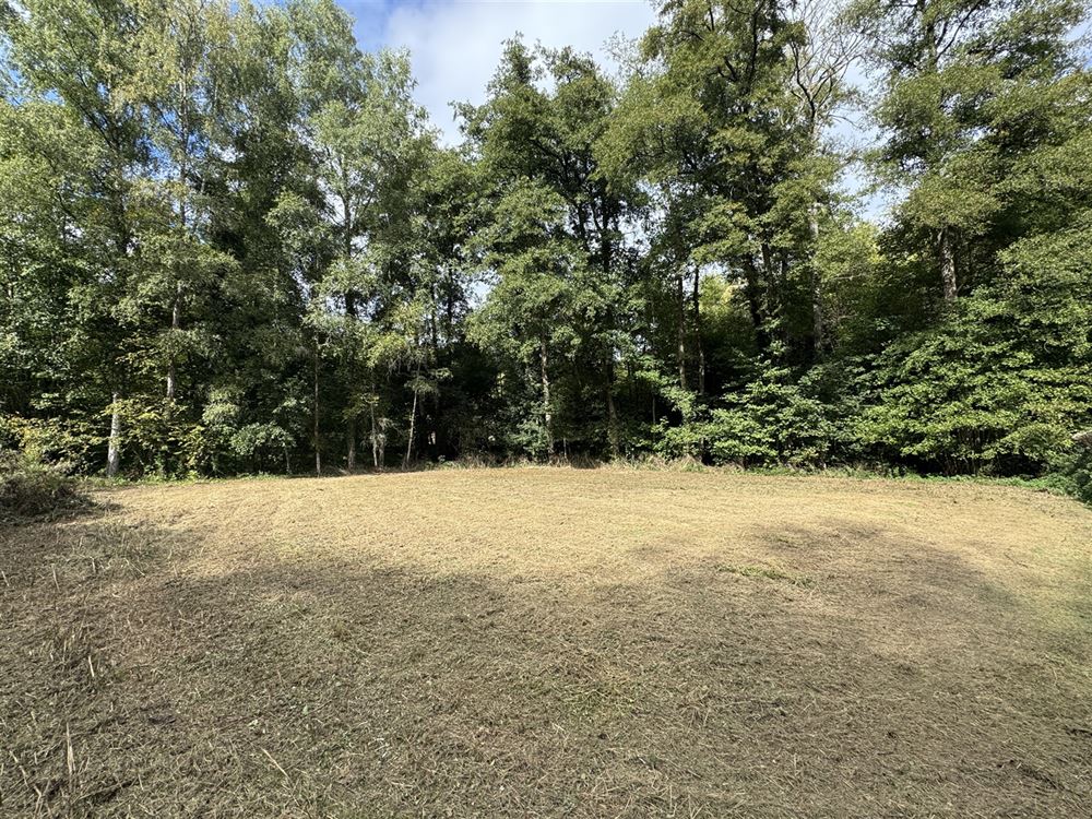 Terrain à ARBRE (0 chambre)