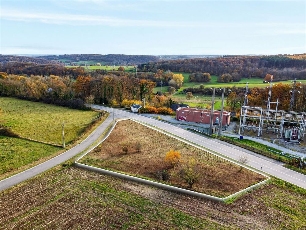 Terrain à BOIS-DE-VILLERS (0 chambre)
