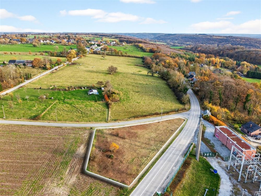 Terrain à BOIS-DE-VILLERS (0 chambre)