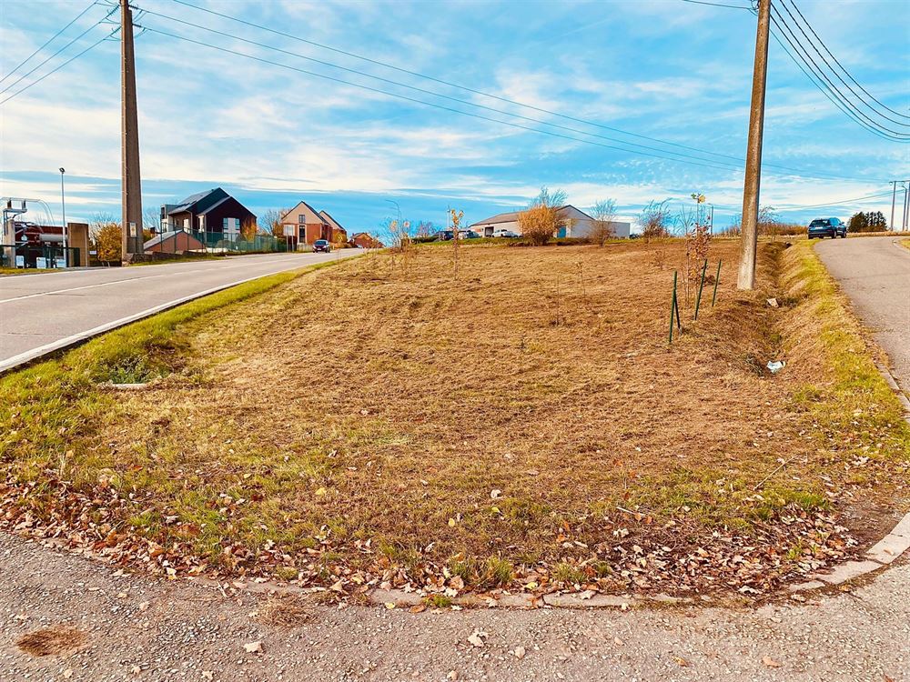 Immeuble de rapport à BOIS-DE-VILLERS (0 chambre)