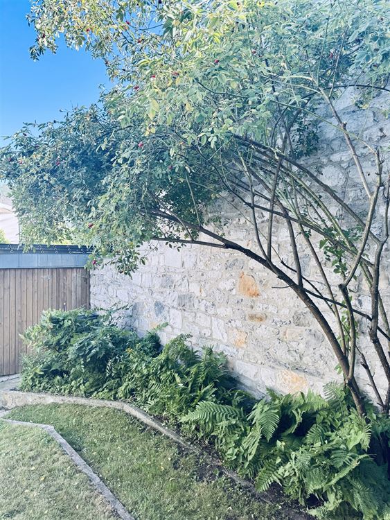 Villa/maison/ferme à PROFONDEVILLE (4 chambres)