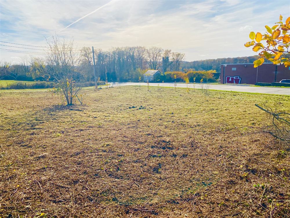 Terrain à BOIS-DE-VILLERS (0 chambre)
