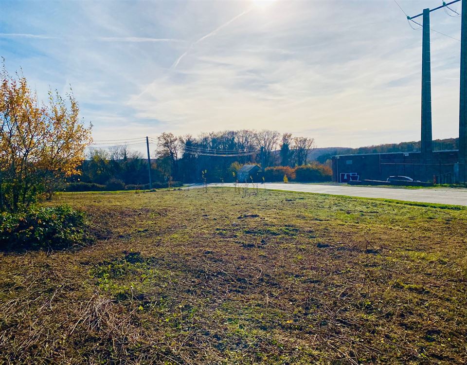 Terrain à BOIS-DE-VILLERS (0 chambre)