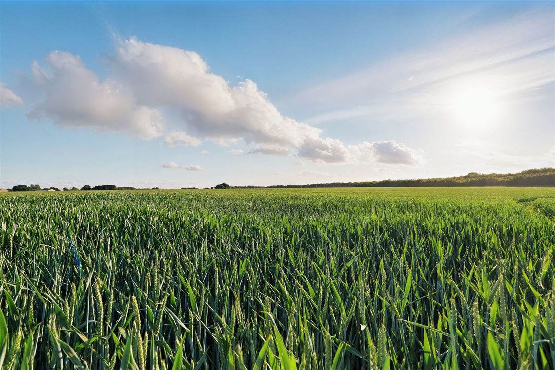 Appartement à Haltinne (2 chambres)